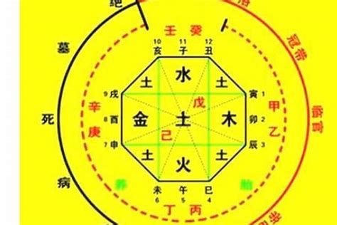 喜木是什么|五行俱全八字喜木 (八字偏强八字喜木是什么意思)